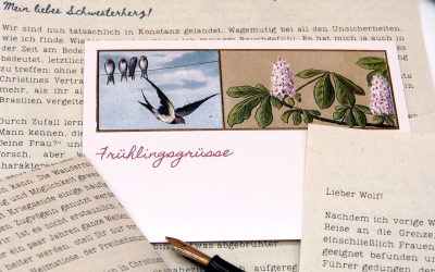 Brief 11: Februar 1949