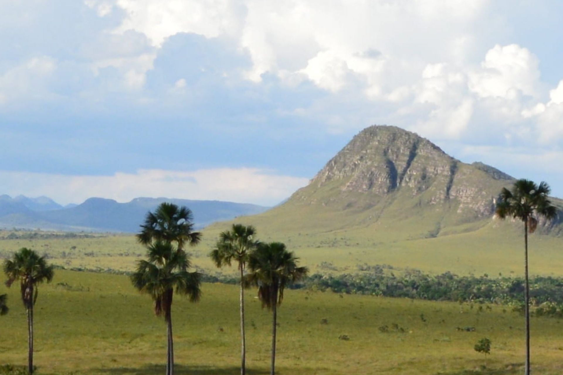 Galerie-der-verschwundenen-Geschichten_Goias